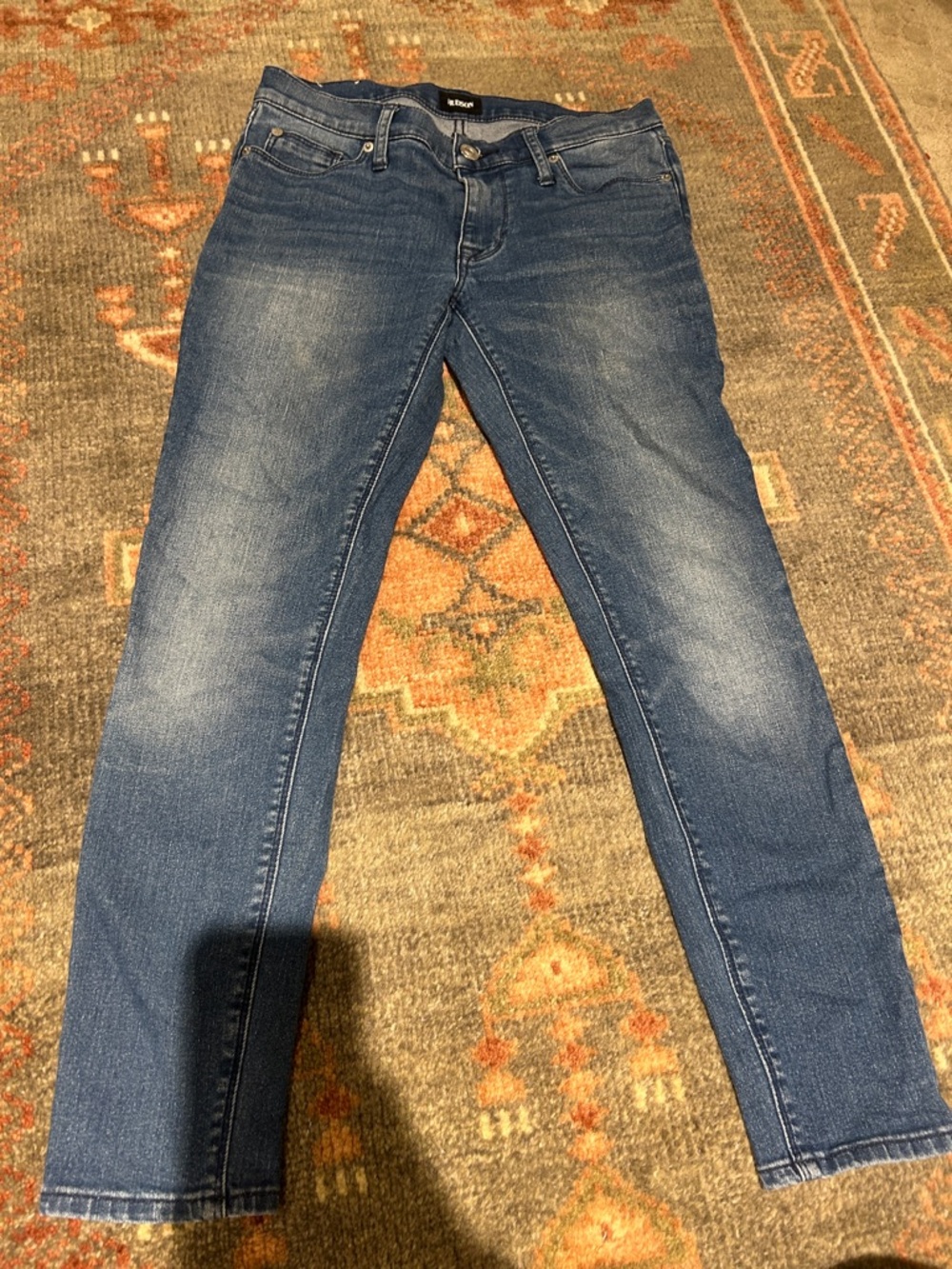 Hudson Jeans Skinny Jeans in Medium Wash Blue